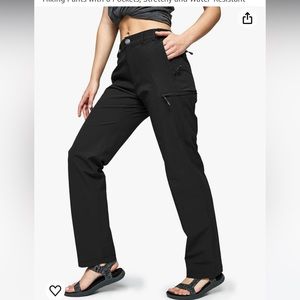 TNF paramount convertible pant